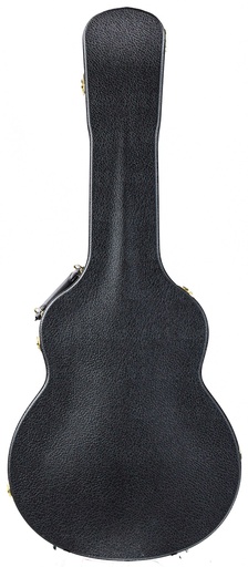 Guitar cases for acoustic guitars hotsell
